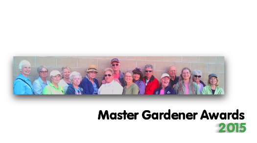 master gardener awards