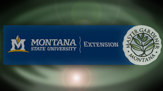 MSU Extension